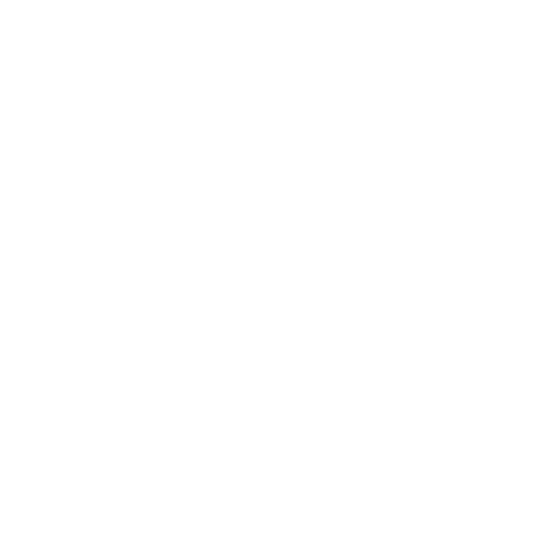 Khóa DD ring
